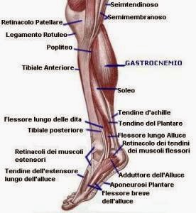 Operazioni a thrombophlebitis di una vena ipodermica grande